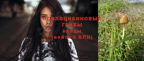 соль курить ск Надым