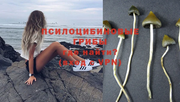 соль курить ск Надым