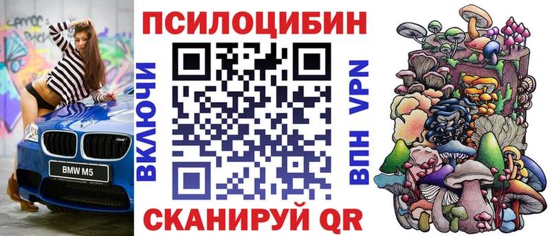 закладки  Пересвет  Псилоцибиновые грибы мицелий 